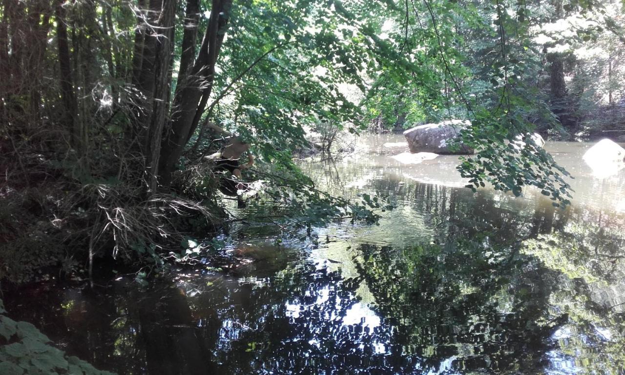 Moulin De Record Ferrieres (Tarn) Exterior foto